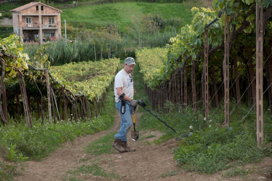 Steve hunting in a vineyard in Italy